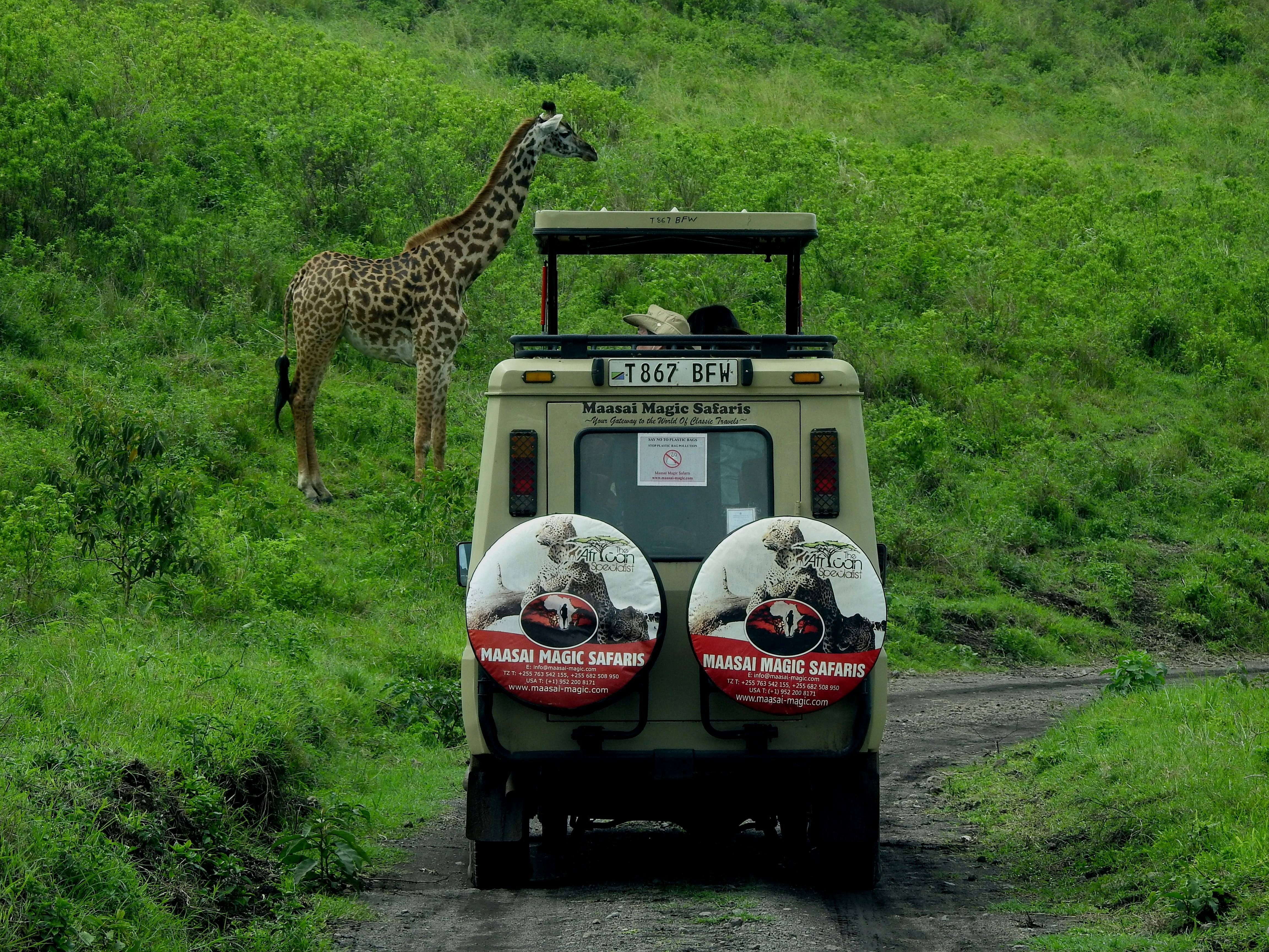 Maasai Mara National Reserve, Kenya